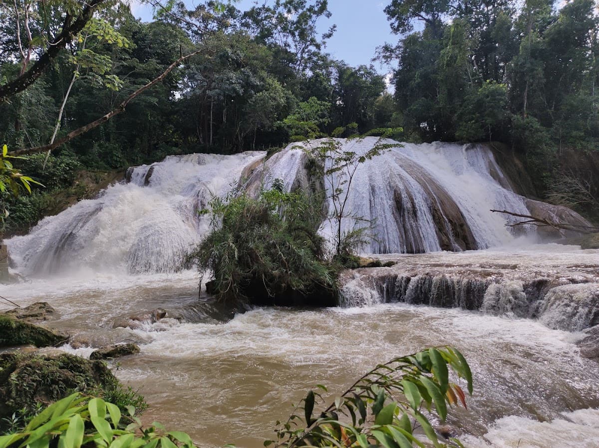 Palenque, Mexico — travel destination on RevealSpot