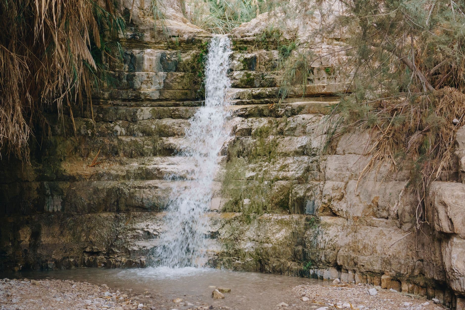 Ein Gedi Nature Reserve, Israel — travel destination on RevealSpot