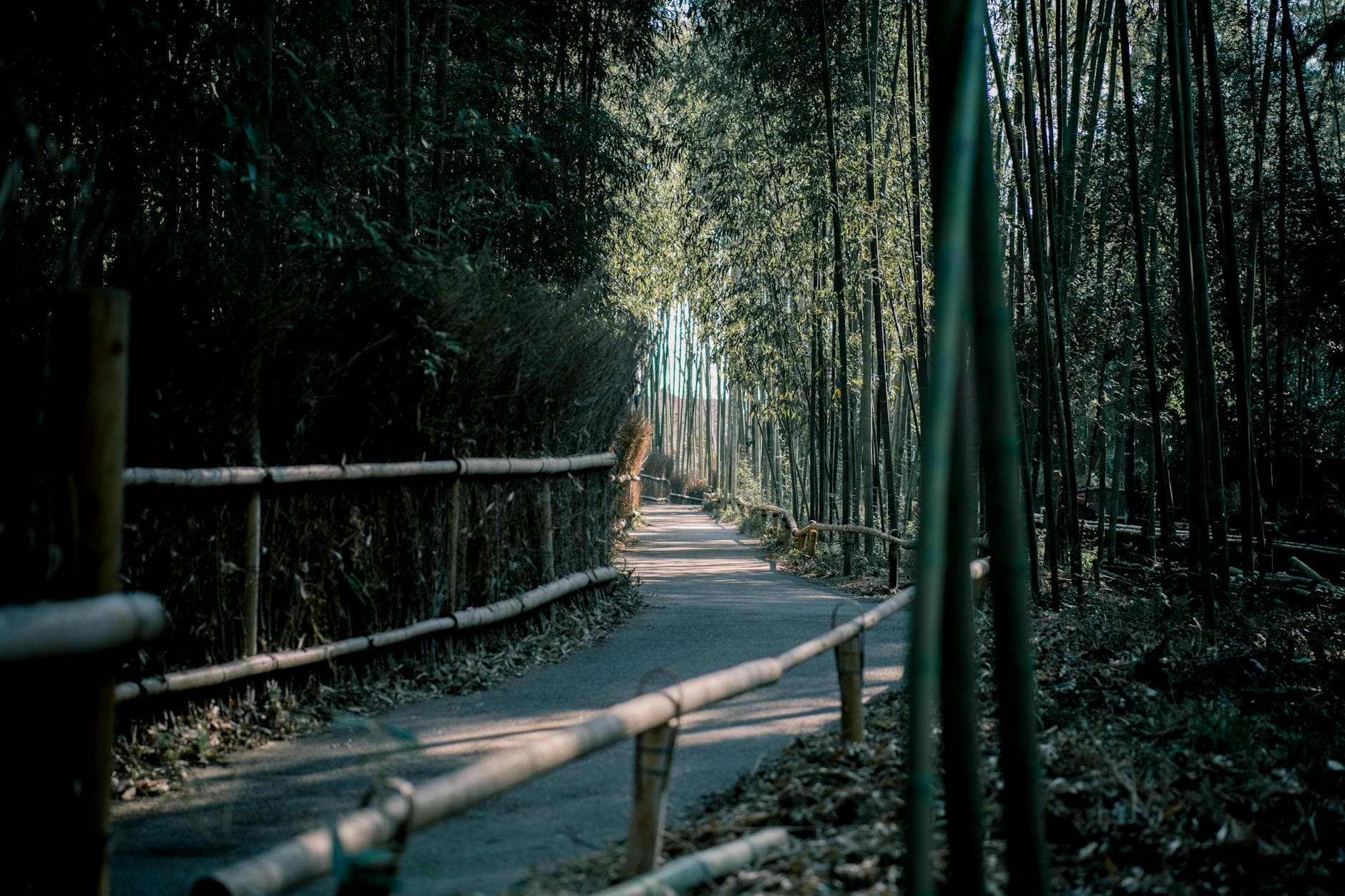 Japan Golden Route — RevealSpot