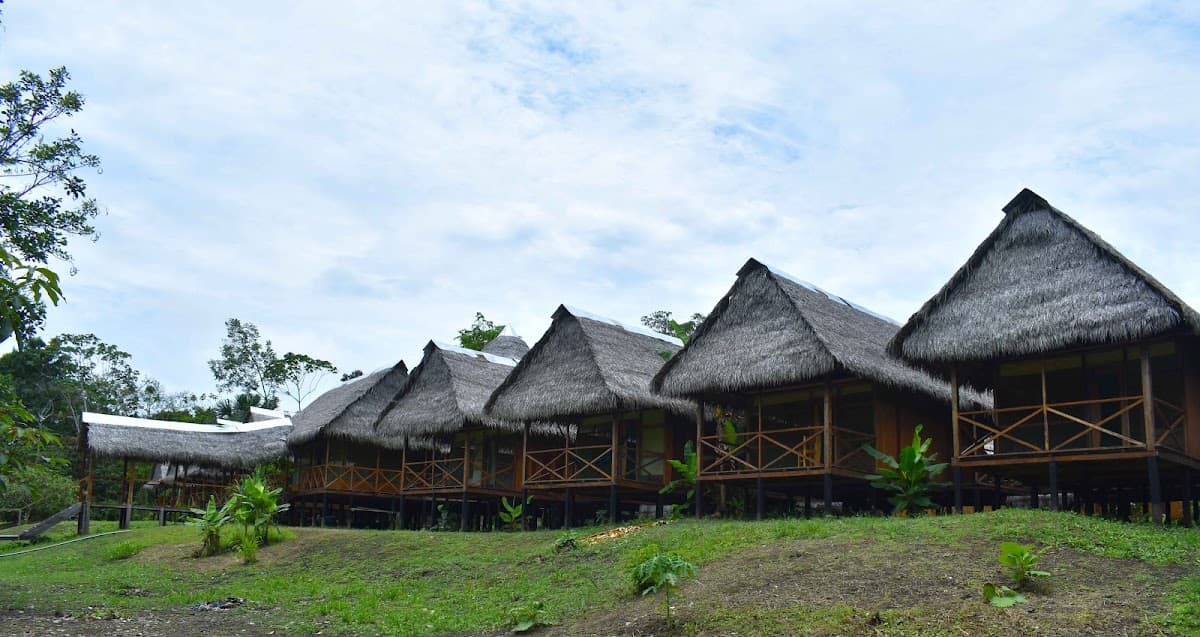 Amazon Rainforest, Colombia / Peru