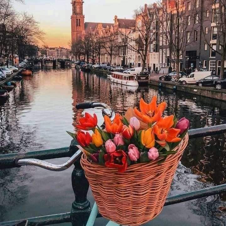 Amsterdam, Netherlands