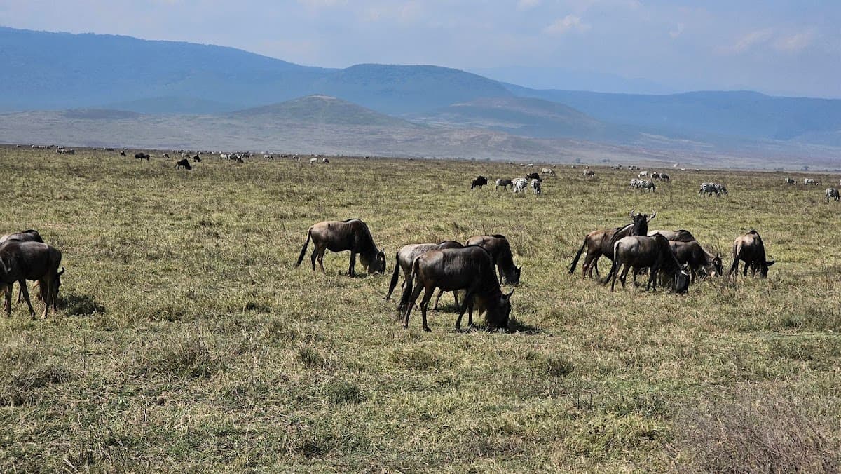 Serengeti & Ngorongoro Crater, Tanzania