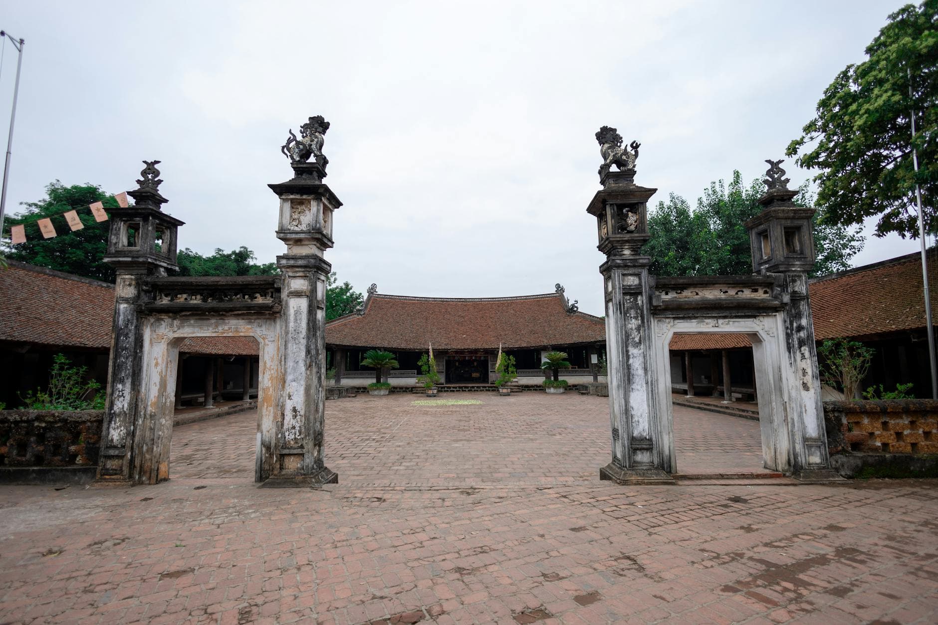 The Night Train to Hanoi and the Scooter Chase That Almost Killed Us